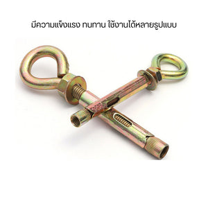 พุกเหล็กชุปซิงค์ชุบรุ้งกันสนิม ช่วยให้การยึดแข็งแรงเพิ่มขึ้น ใช้สำหรับยึดกับผนังปูนในการยึดจับสิ่งของฯ (2ตัว)