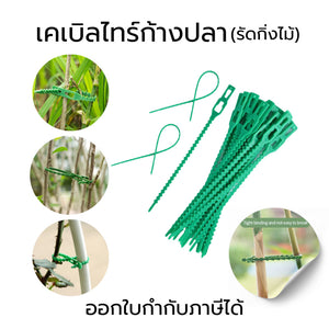 สายรัดต้นไม้ เข็มขัดรัดต้นไม้ เคเบิลไทร์ก้างปลา พลาสติกรัดต้นไม้ รัดต้นไม้ ต้นไม้