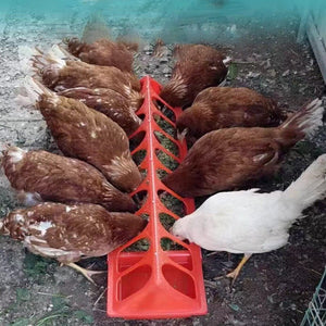 รางให้อาหารลูกไก่พลาสติก อุปกรณ์ให้อาหารไก่ ป้องกันอาหารหกหล่น เหมาะสำหรับเลี้ยงไก่และนก ลดการสูญเสียอาหาร
