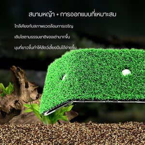 บันไดเต่าจำลอง อุปกรณ์สำหรับตู้ปลาเต่า บันไดหญ้าเทียมสำหรับเต่า แพลตฟอร์มสำหรับอาบแดดสำหรับสัตว์เลื้อยคลาน