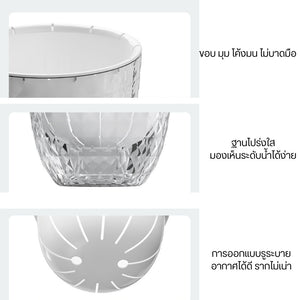 กระถางต้นไม้ระบบดูดซึมน้ำอัตโนมัติพร้อมเชือกดูดซับน้ำดีไซน์ 2 ชั้นต้นไม้โตไว สุขภาพดี ดูแลง่าย ไม่ต้องคอยเฝ้ารดน้ำ