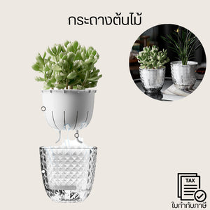 กระถางต้นไม้ระบบดูดซึมน้ำอัตโนมัติพร้อมเชือกดูดซับน้ำดีไซน์ 2 ชั้นต้นไม้โตไว สุขภาพดี ดูแลง่าย ไม่ต้องคอยเฝ้ารดน้ำ