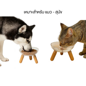 ถ้วยใส่อาหารสัตว์เลี้ยงอะคริลิคใส แข็งแรงทนทานไม่แตกง่าย มองเห็นอาหาร/น้ำได้ชัดเจนดีไซน์ยกสูงทำความสะอาดง่ายได้ทั้งอาหาร