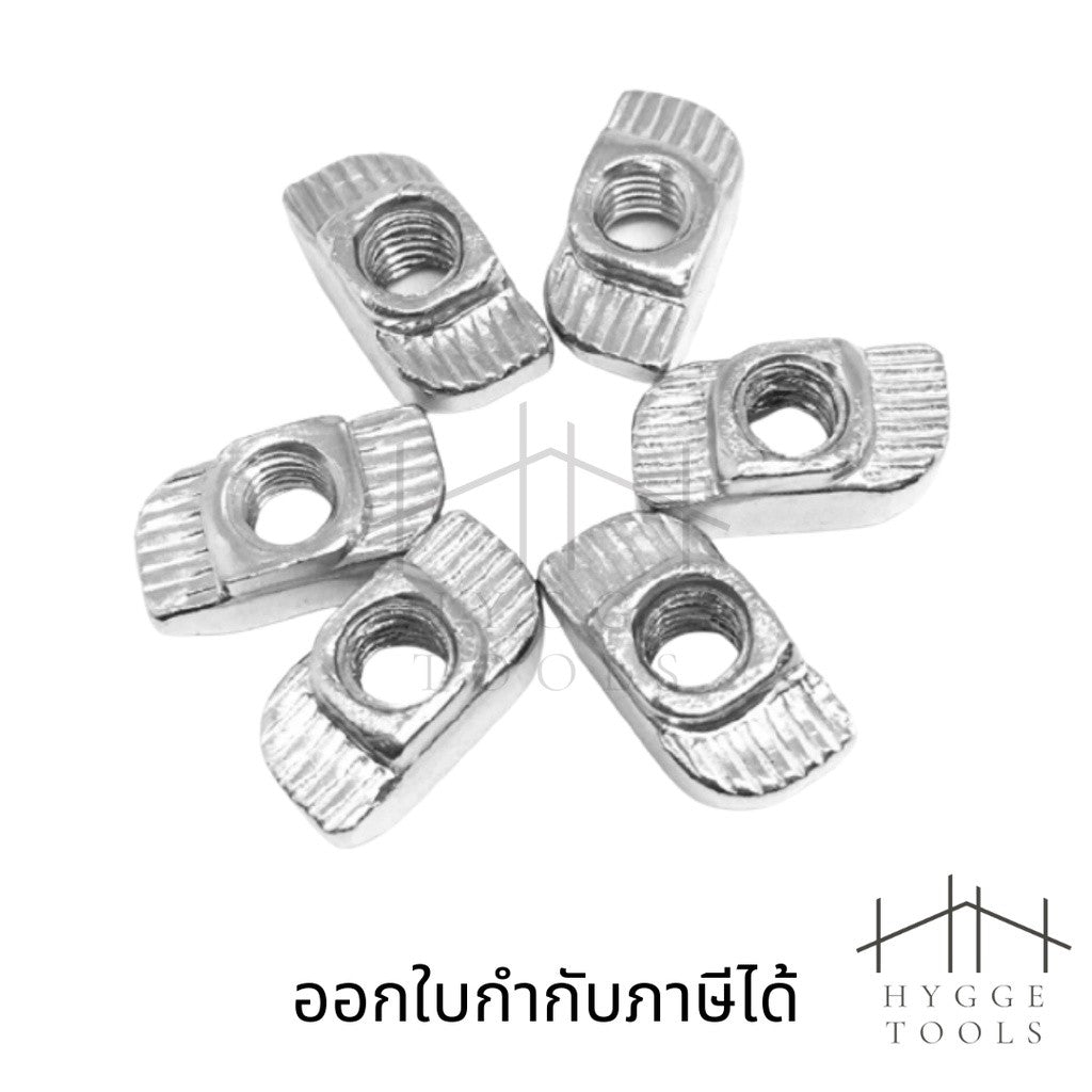 T Nut  น็อตอลูมิเนียมน็อตชุด10ชิ้น  น็อตใส่ราง T-Nut ทีนัท น๊อตอลูมิเนียม น็อตใส่รางทีแทรค