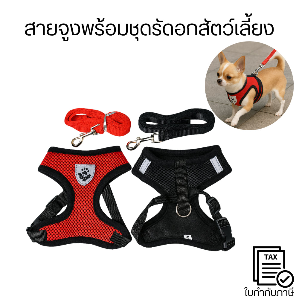 สายจูงพร้อมชุดรัดอกสำหรับสัตว์เลี้ยง สวมใส่สบาย ไม่รัดแน่นเกินไป  ปรับขนาดได้ ผ้าตาข่าย มีความยืดหยุ่น ระบายอากาศได้ดี