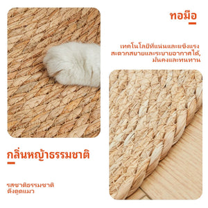พรมลับเล็บแมว ที่ลับเล็บแมว ของเล่นแมว เสื่อกันรอยขีดข่วน แผ่นลับเล็บแมว กันข่วน ของเล่นแมว