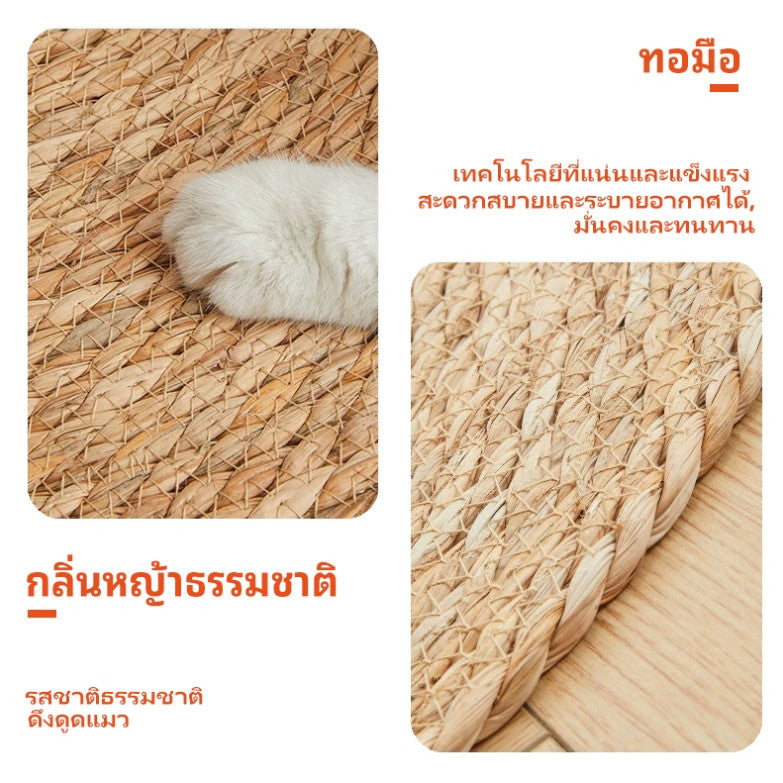 พรมลับเล็บแมว ที่ลับเล็บแมว ของเล่นแมว เสื่อกันรอยขีดข่วน แผ่นลับเล็บแมว กันข่วน ของเล่นแมว