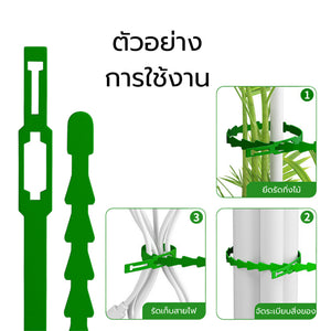 สายรัดต้นไม้ เข็มขัดรัดต้นไม้ เคเบิลไทร์ก้างปลา พลาสติกรัดต้นไม้ รัดต้นไม้ ต้นไม้