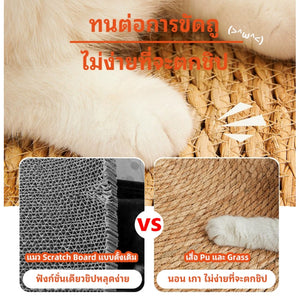 พรมลับเล็บแมว ที่ลับเล็บแมว ของเล่นแมว เสื่อกันรอยขีดข่วน แผ่นลับเล็บแมว กันข่วน ของเล่นแมว