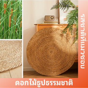 พรมลับเล็บแมว ที่ลับเล็บแมว ของเล่นแมว เสื่อกันรอยขีดข่วน แผ่นลับเล็บแมว กันข่วน ของเล่นแมว