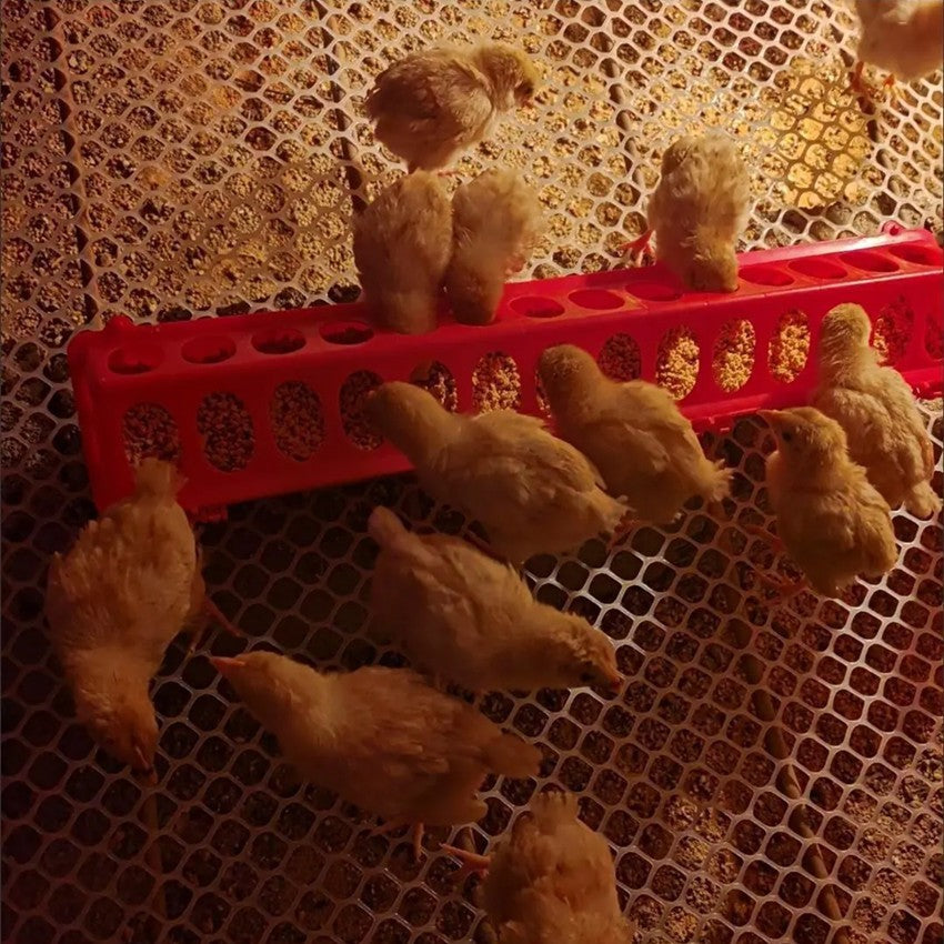 รางให้อาหารลูกไก่พลาสติก อุปกรณ์ให้อาหารไก่ ป้องกันอาหารหกหล่น เหมาะสำหรับเลี้ยงไก่และนก ลดการสูญเสียอาหาร
