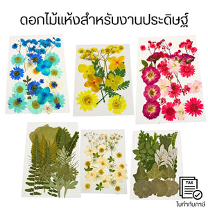 ดอกไม้แห้งธรรมชาติหลากชนิด ดอกไม้แห้งอัด ใบไม้ แพ็คผสม ของตกแต่งสำหรับทำสแครปบุ๊ก DIY สำหรับงานประดิษฐ์เรซิน ฯลฯ