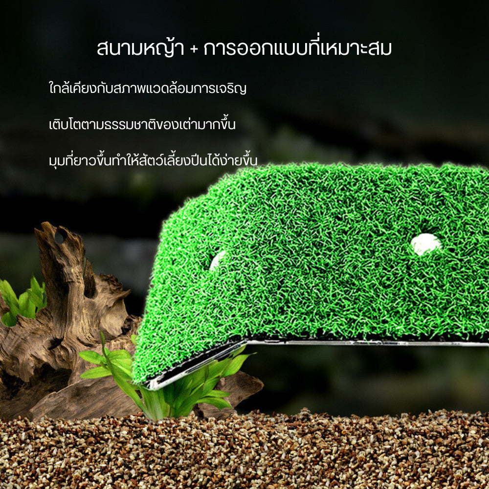 บันไดเต่าจำลอง อุปกรณ์สำหรับตู้ปลาเต่า บันไดหญ้าเทียมสำหรับเต่า แพลตฟอร์มสำหรับอาบแดดสำหรับสัตว์เลื้อยคลาน
