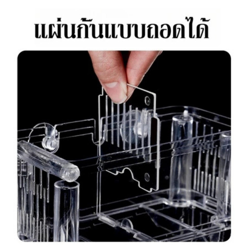 กล่องฟักลูกปลา ตู้แยกปลาคลอดลูก กล่องแยกสำหรับขังปลา แยกได้ 2 ช่อง มี 2ขนาด  อะคริลิกคุณภาทำจากพสูง  สามารถต่อปั๊มลมได้