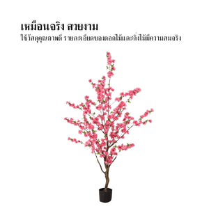 ต้นไม้ประดิษฐ์ซากุระสีชมพู สไตล์ญี่ปุ่น ตกแต่งบ้านเพิ่มความสดชื่น เหมาะสำหรับห้องนั่งเล่น ห้องนอน และร้านค้า