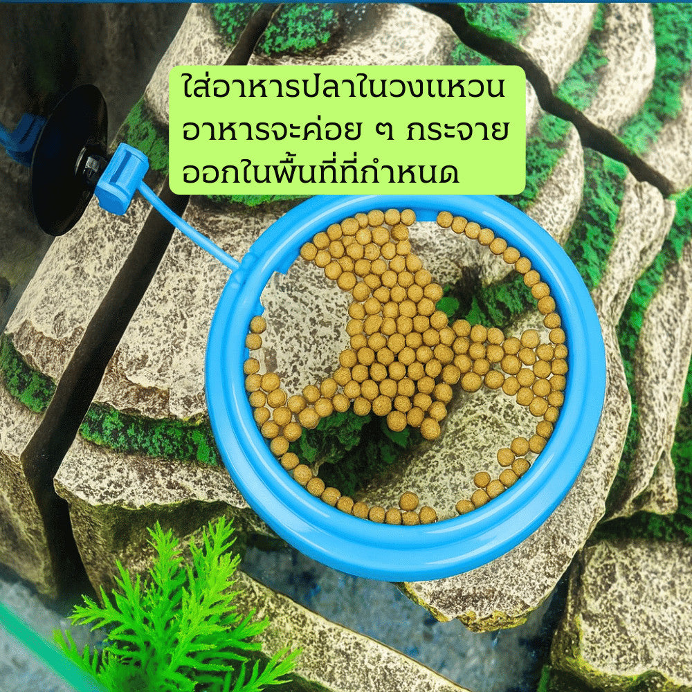 กรอบให้อาหารปลา ลอยน้ำ ติดตู้ปลาด้วยสูญญากาศ ป้องกันอาหารกระจาย เหมาะสำหรับปลาทอง ปลาสวยงาม