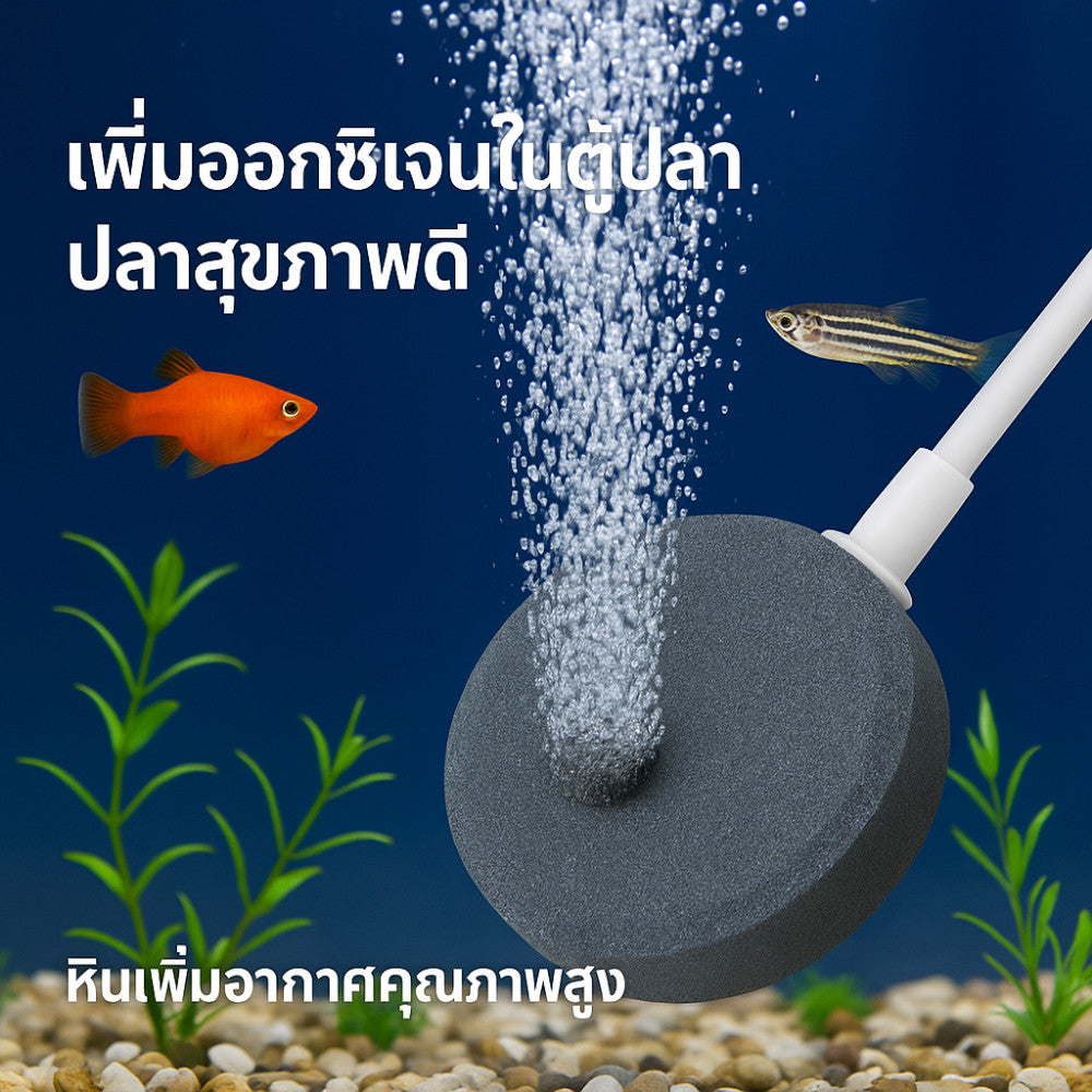หัวทรายออกซิเจนตู้ปลา หินเพิ่มอากาศ ปล่อยฟองละเอียด น้ำใสสะอาด ปลาสุขภาพดี อุปกรณ์เลี้ยงปลาในตู้และบ่อปลา