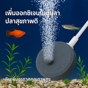 หัวทรายออกซิเจนตู้ปลา หินเพิ่มอากาศ ปล่อยฟองละเอียด น้ำใสสะอาด ปลาสุขภาพดี อุปกรณ์เลี้ยงปลาในตู้และบ่อปลา