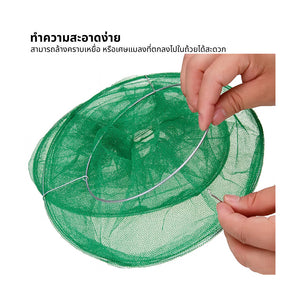 ตาข่ายดักแมลงวัน กับดักแมลงวัน กำจัดแมลงวันทอง ศัตรูพืชในสวนผลไม้ ใช้งานง่าย คุ้มค่า ทนทาน เหมาะกับสวนเกษตรและฟาร์ม