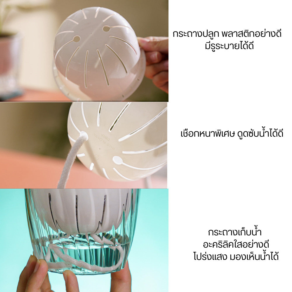กระถางต้นไม้ 2 ชั้น ระบบดูดซึมน้ำอัตโนมัติพร้อมเชือกดูดซับน้ำ ไม่ต้องรดน้ำทุกวัน ต้นไม้ยังคงสดชื่นเหมือนมีคนดูแลตลอดเวลา