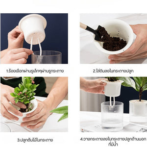 กระถางต้นไม้ระบบดูดซึมน้ำอัตโนมัติ ลดปัญหาการรดน้ำมากหรือน้อยเกินไป ดูแลง่าย เหมาะกับคนทำงานหรือผู้ที่ไม่ค่อยอยู่บ้าน