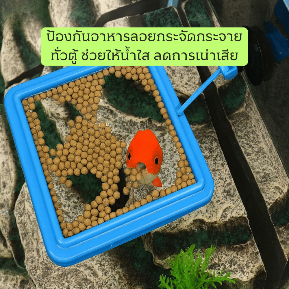 กรอบให้อาหารปลา ลอยน้ำ ติดตู้ปลาด้วยสูญญากาศ ป้องกันอาหารกระจาย เหมาะสำหรับปลาทอง ปลาสวยงาม