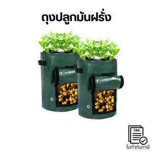 ถุงปลูกผักอเนกประสงค์ ปลูกมันฝรั่ง มันเทศ ขิง หรืออื่นๆ มีช่องเปิด เก็บง่าย ทนทาน