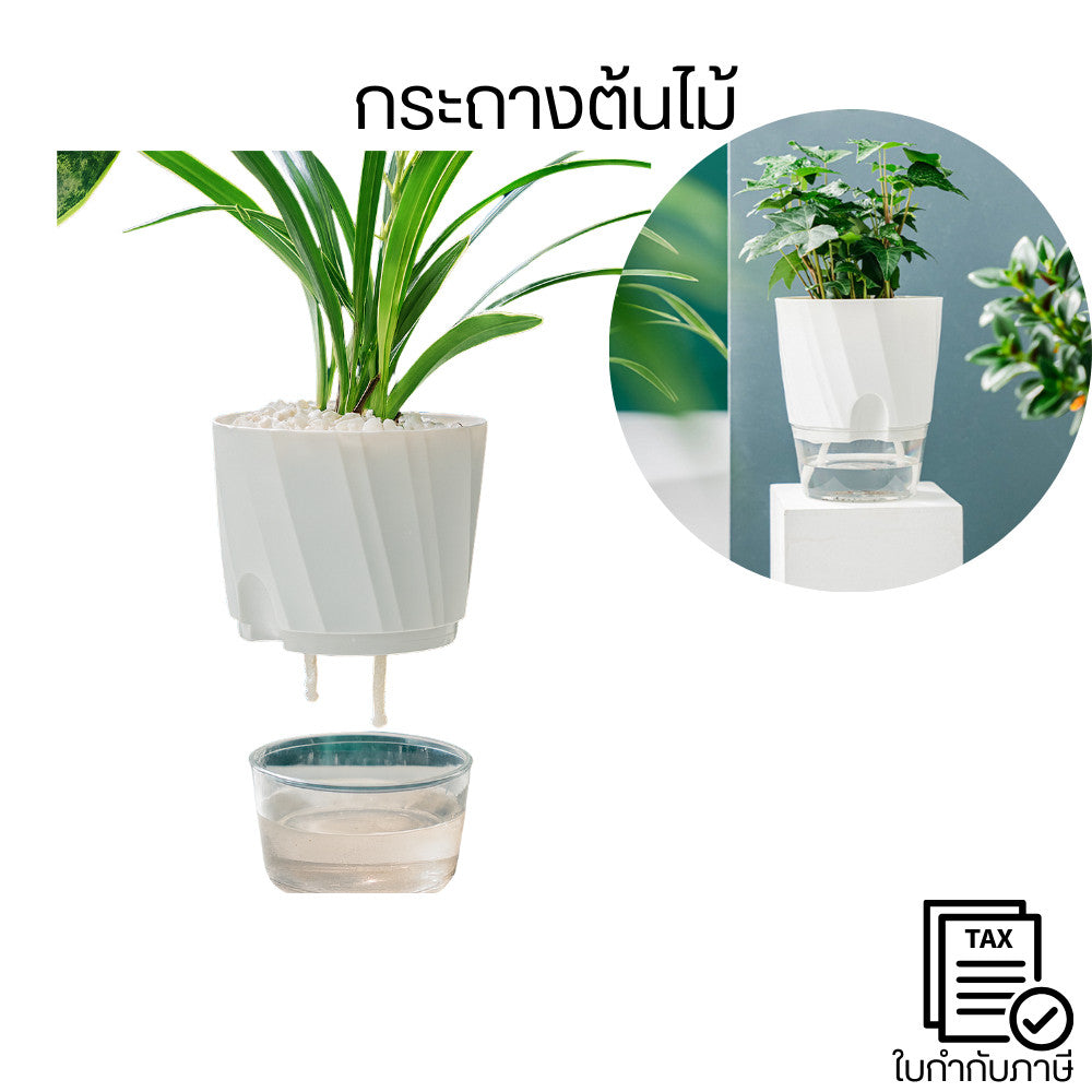 กระถางต้นไม้ ดีไซน์ 2 ชั้น ระบบเชือกดูดซับน้ำ ลดปัญหาการให้น้ำมากเกินหรือน้อยเกินไปมองเห็นระดับน้ำได้ง่าย ไม่ต้องเดา