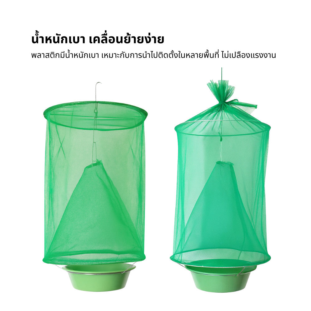 ตาข่ายดักแมลงวัน กับดักแมลงวัน กำจัดแมลงวันทอง ศัตรูพืชในสวนผลไม้ ใช้งานง่าย คุ้มค่า ทนทาน เหมาะกับสวนเกษตรและฟาร์ม
