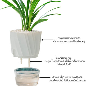 กระถางต้นไม้ ดีไซน์ 2 ชั้น ระบบเชือกดูดซับน้ำ ลดปัญหาการให้น้ำมากเกินหรือน้อยเกินไปมองเห็นระดับน้ำได้ง่าย ไม่ต้องเดา