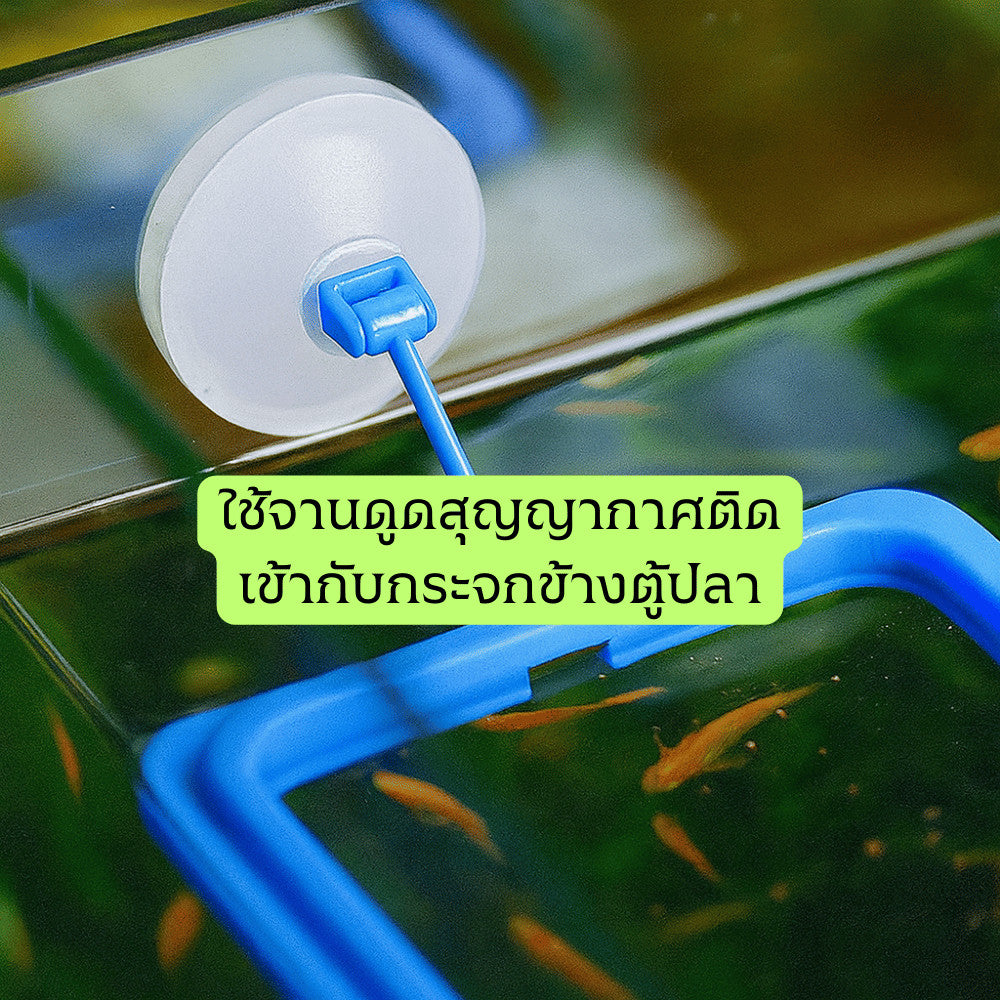 กรอบให้อาหารปลา ลอยน้ำ ติดตู้ปลาด้วยสูญญากาศ ป้องกันอาหารกระจาย เหมาะสำหรับปลาทอง ปลาสวยงาม