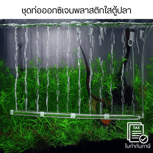ชุดท่อออกซิเจนพลาสติกใส ตู้ปลา พร้อมหัวต่อ + ตัวดูด ติดตั้งง่าย ทนทาน สำหรับเพิ่มออกซิเจนปลา