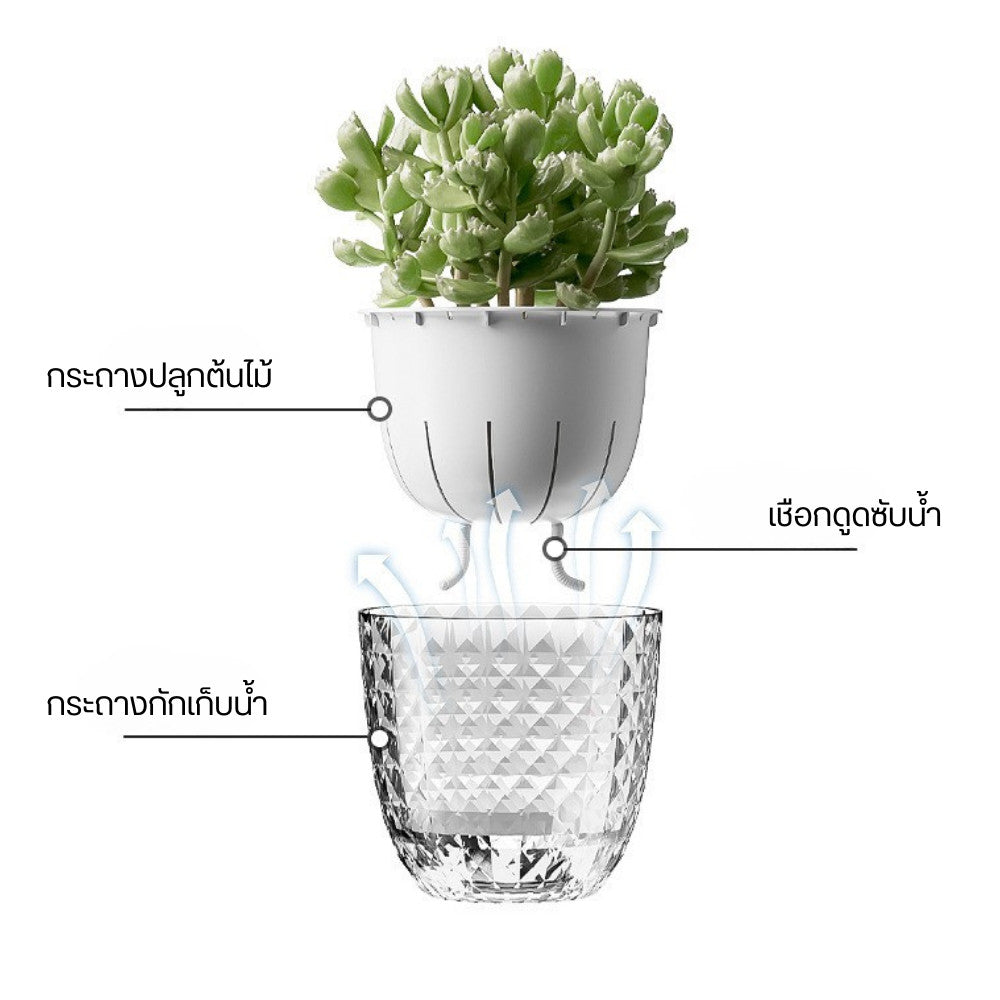 กระถางต้นไม้ระบบดูดซึมน้ำอัตโนมัติพร้อมเชือกดูดซับน้ำดีไซน์ 2 ชั้นต้นไม้โตไว สุขภาพดี ดูแลง่าย ไม่ต้องคอยเฝ้ารดน้ำ