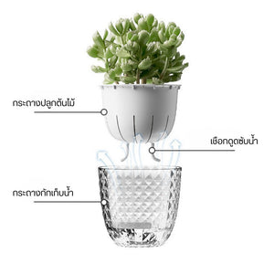กระถางต้นไม้ระบบดูดซึมน้ำอัตโนมัติพร้อมเชือกดูดซับน้ำดีไซน์ 2 ชั้นต้นไม้โตไว สุขภาพดี ดูแลง่าย ไม่ต้องคอยเฝ้ารดน้ำ