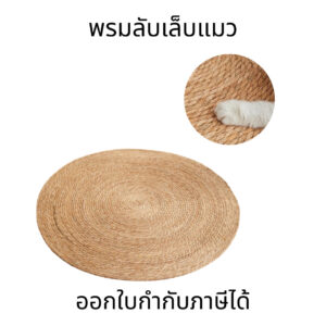 พรมลับเล็บแมว ที่ลับเล็บแมว ของเล่นแมว เสื่อกันรอยขีดข่วน แผ่นลับเล็บแมว กันข่วน ของเล่นแมว