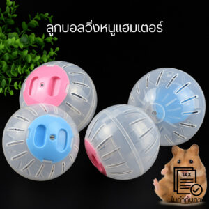 ลูกบอลวิ่งหนูแฮมสเตอร์ ของเล่นสัตว์เลี้ยง ออกกำลังกาย ปลอดภัย แข็งแรง พลาสติกใส สำหรับแฮมสเตอร์และสัตว์ฟันแทะ