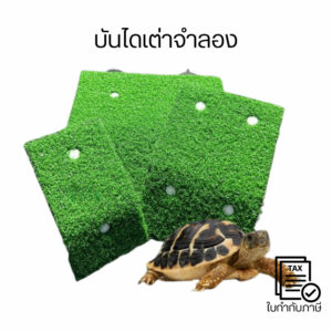 บันไดเต่าจำลอง อุปกรณ์สำหรับตู้ปลาเต่า บันไดหญ้าเทียมสำหรับเต่า แพลตฟอร์มสำหรับอาบแดดสำหรับสัตว์เลื้อยคลาน