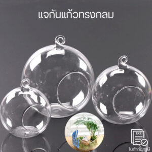 แจกันแก้วทรงกลม ผลิตจากแก้วโบโรซิลิเกตทนความร้อนขั้นสูง แจกันแก้วแขวน โปร่งใส แขวนแจกันแก้วในห้องนอน ห้องนั่งเล่น