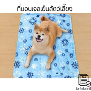 ที่นอนเจลเย็นสัตว์เลี้ยง แผ่นเจลเย็น ที่นอนเย็น เบาะเย็นแมว แผ่นทำความเย็น สำหรับสัตว์เลี้ยง