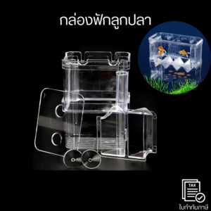 กล่องฟักลูกปลา ตู้แยกปลาคลอดลูก กล่องแยกสำหรับขังปลา แยกได้ 2 ช่อง มี 2ขนาด  อะคริลิกคุณภาทำจากพสูง  สามารถต่อปั๊มลมได้