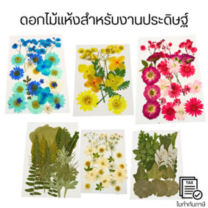 ดอกไม้แห้งธรรมชาติหลากชนิด ดอกไม้แห้งอัด ใบไม้ แพ็คผสม ของตกแต่งสำหรับทำสแครปบุ๊ก DIY สำหรับงานประดิษฐ์เรซิน ฯลฯ
