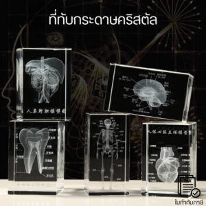 ที่ทับกระดาษคริสตัล ภาพแสดงโมเดลกายวิภาคแบบคริสตัล 3 มิติ แกะสลักด้วยเลเซอร์ด้วยโครงสร้างโดยละเอียด ทำจากคริสตัลอย่างดี