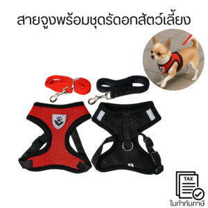 สายจูงพร้อมชุดรัดอกสำหรับสัตว์เลี้ยง สวมใส่สบาย ไม่รัดแน่นเกินไป  ปรับขนาดได้ ผ้าตาข่าย มีความยืดหยุ่น ระบายอากาศได้ดี
