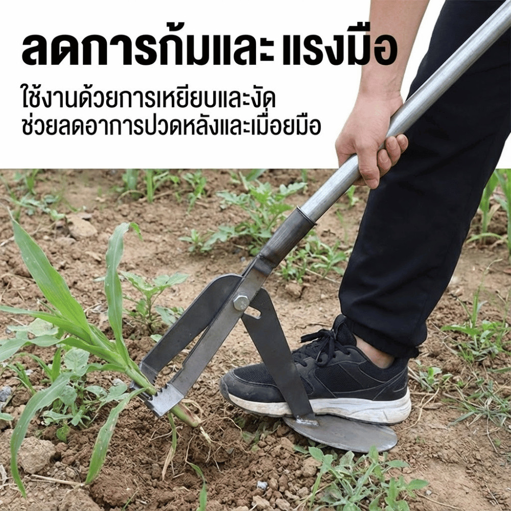 อุปกรณ์กำจัดวัชพืชแบบเหยียบ อุปกรณ์ทำสวน เครื่องถอนหญ้าเหล็กแข็งแรง ถอนรากลึก ลดการก้ม เหมาะงานสวนและแปลงผัก - Image 5