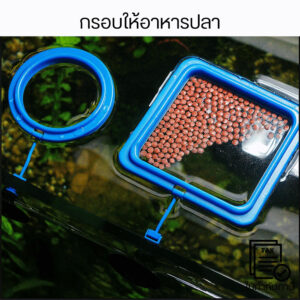 กรอบให้อาหารปลา ลอยน้ำ ติดตู้ปลาด้วยสูญญากาศ ป้องกันอาหารกระจาย เหมาะสำหรับปลาทอง ปลาสวยงาม